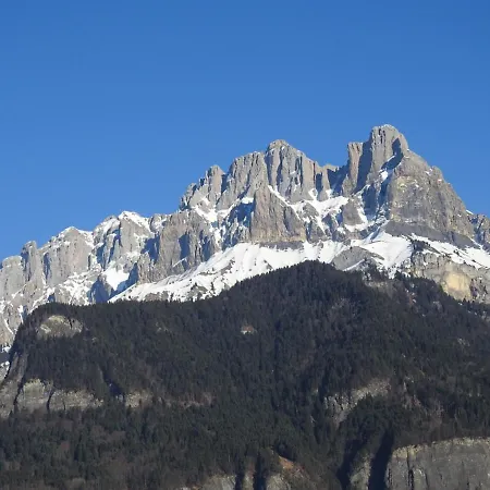 Avec Terrasse Et Vue Sur Le Mt-blanc *